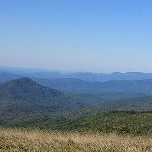 Meet your Posher, Charlene